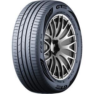 GT Radial Fe2 Evo