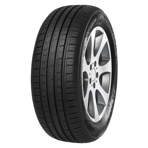 MINERVA F209 215/65R15