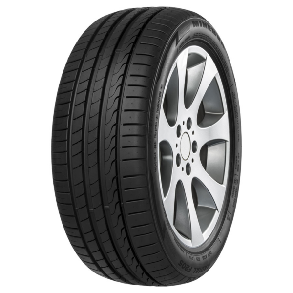 MINERVA F205 195/55R20