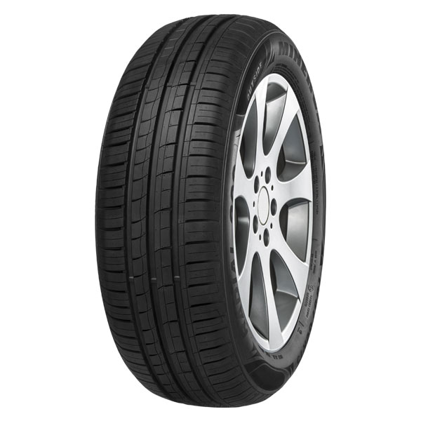 MINERVA 209 175/65R15