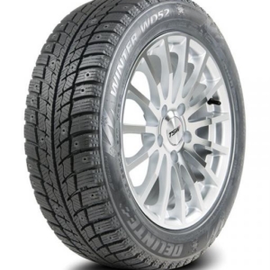 Delinte WINTER WD52 Naast soodne rehv