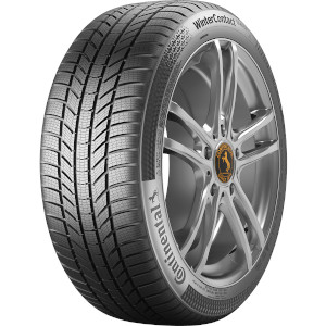 Continental Wintercontact Ts870 P Lamell soodne rehv